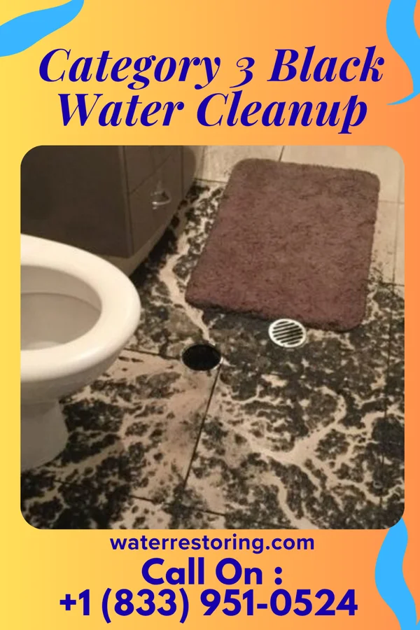 Category 3 Black Water Cleanup in California, PA