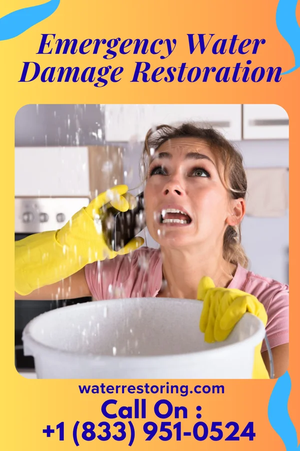 Emergency Water Damage Restoration in California, PA
