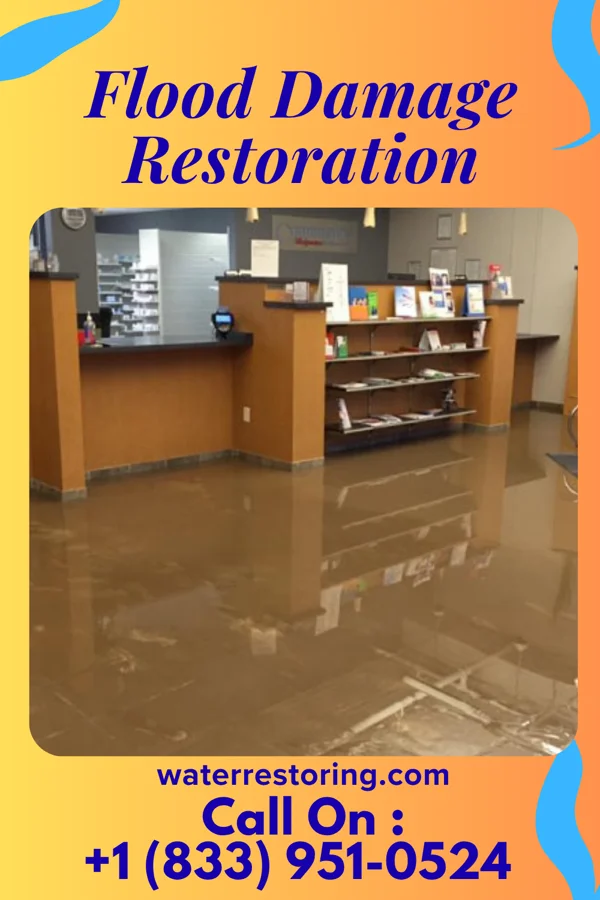 Flood Damage Restoration in California, PA