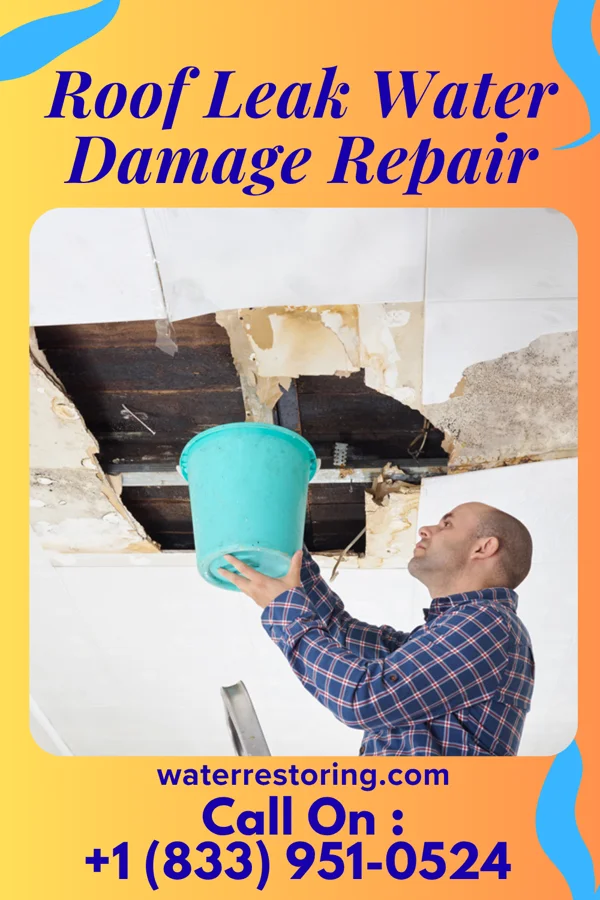 Roof Leak Water Damage Repair in California, PA