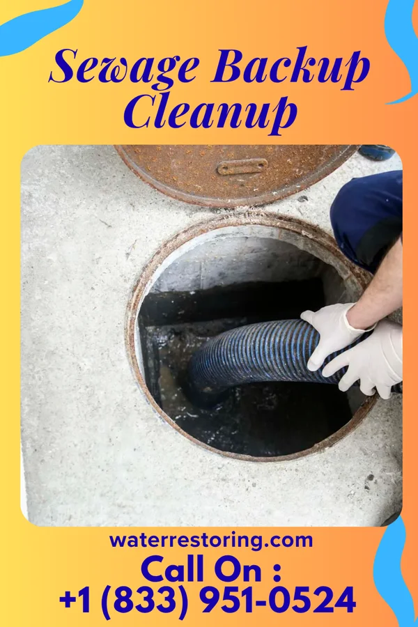 Sewage Backup Cleanup in California, PA