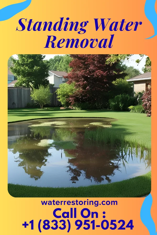 Standing Water Removal in California, PA